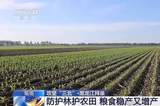 激烈！阿森纳领跑、利物浦强势归来、曼城3连平……你看好谁夺英超